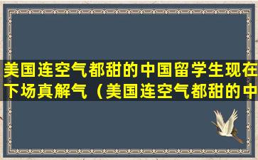 美国连空气都甜的中国留学生现在下场真解气（美国连空气都甜的中国留学生 现在下场真解气）